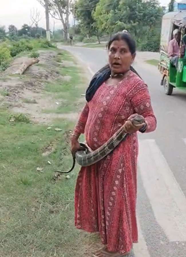 woman snake catcher 1
