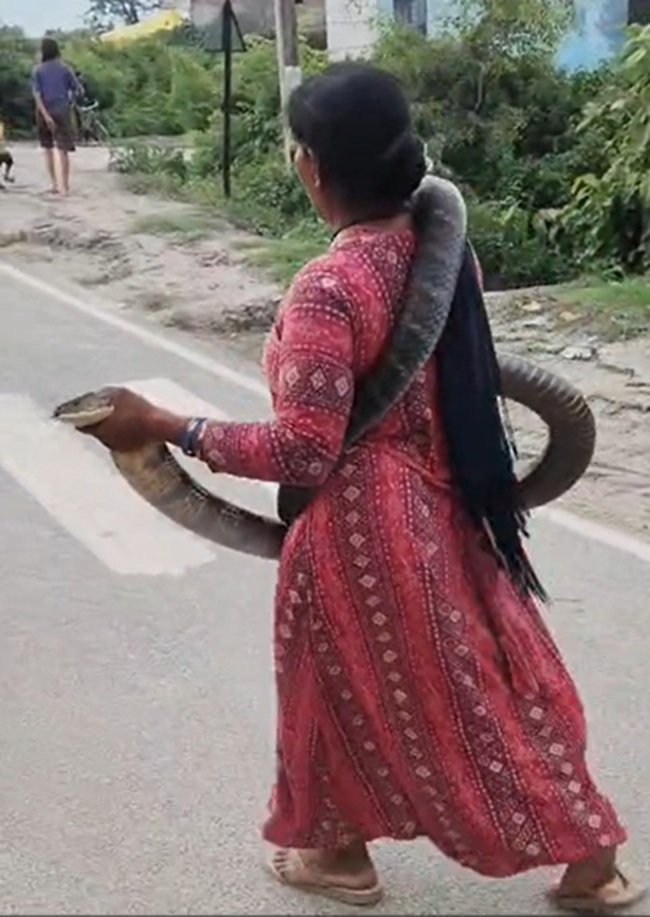 woman snake catcher 2