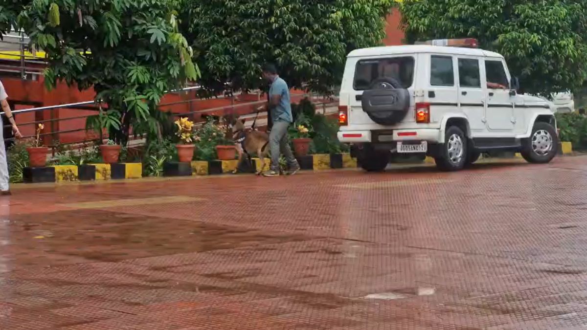 Odisha News - 2026-07-17T131206.874