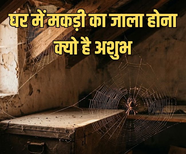 makdi ka jala ke sanket (1)