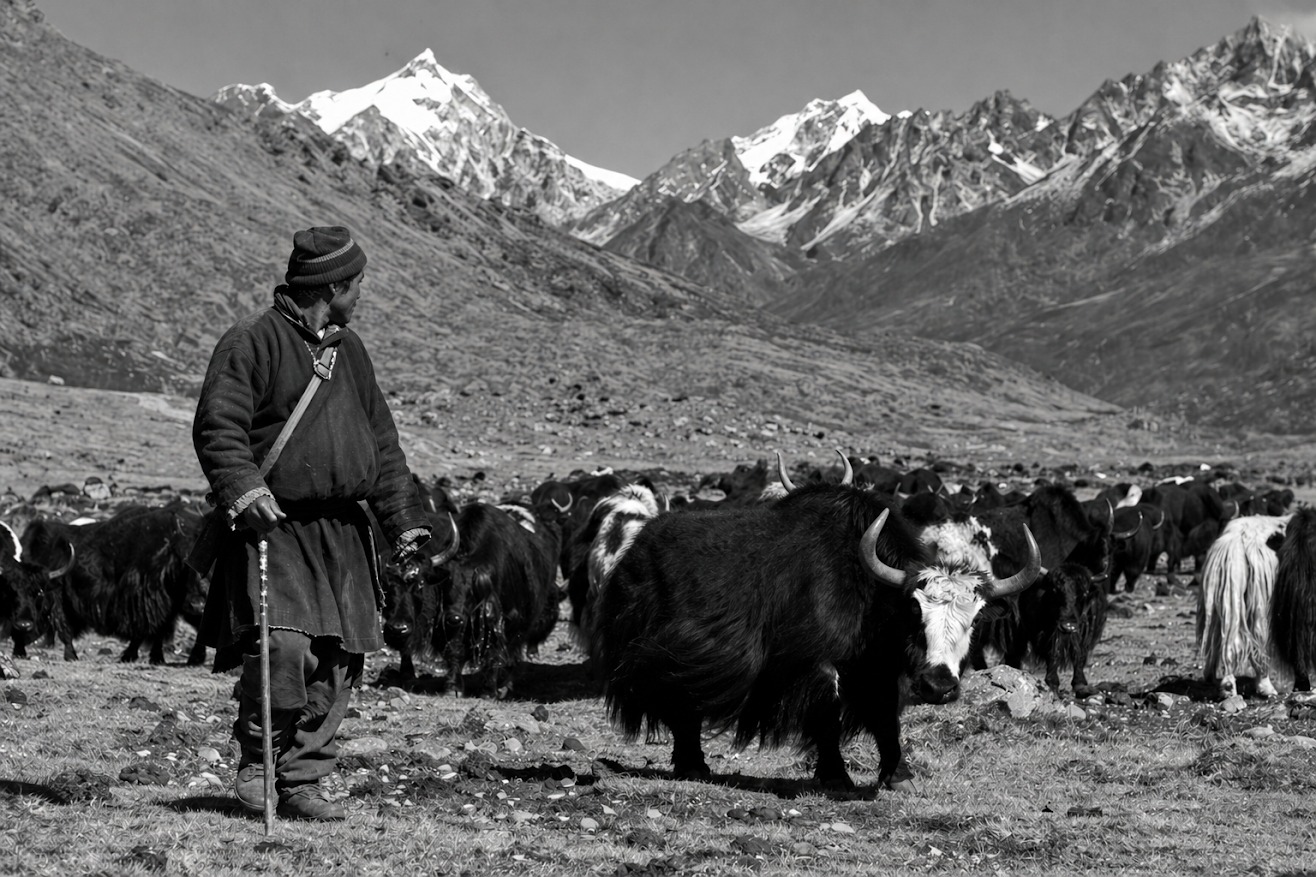 Kargil (2)