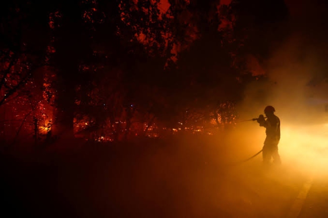 france wildlife fire (1)