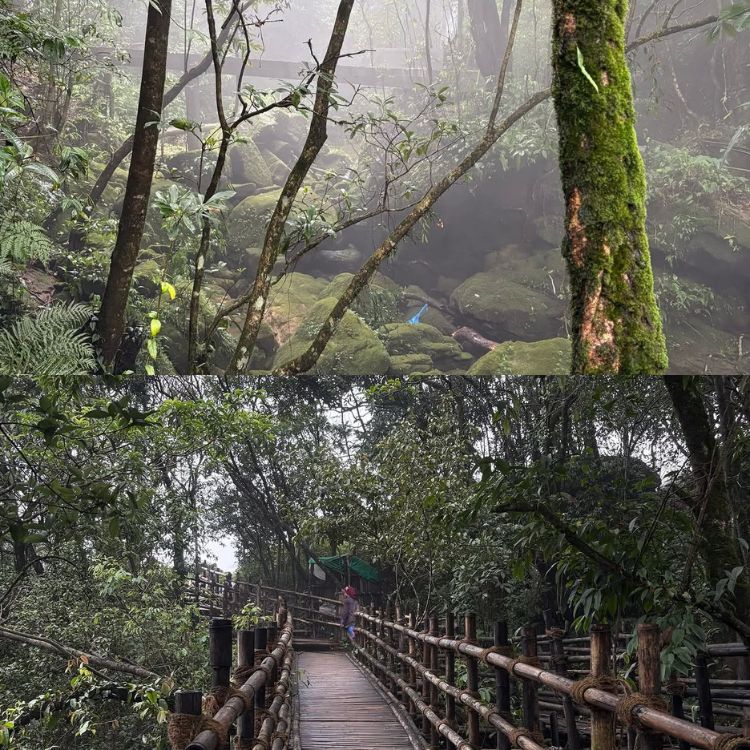 meghalaya village