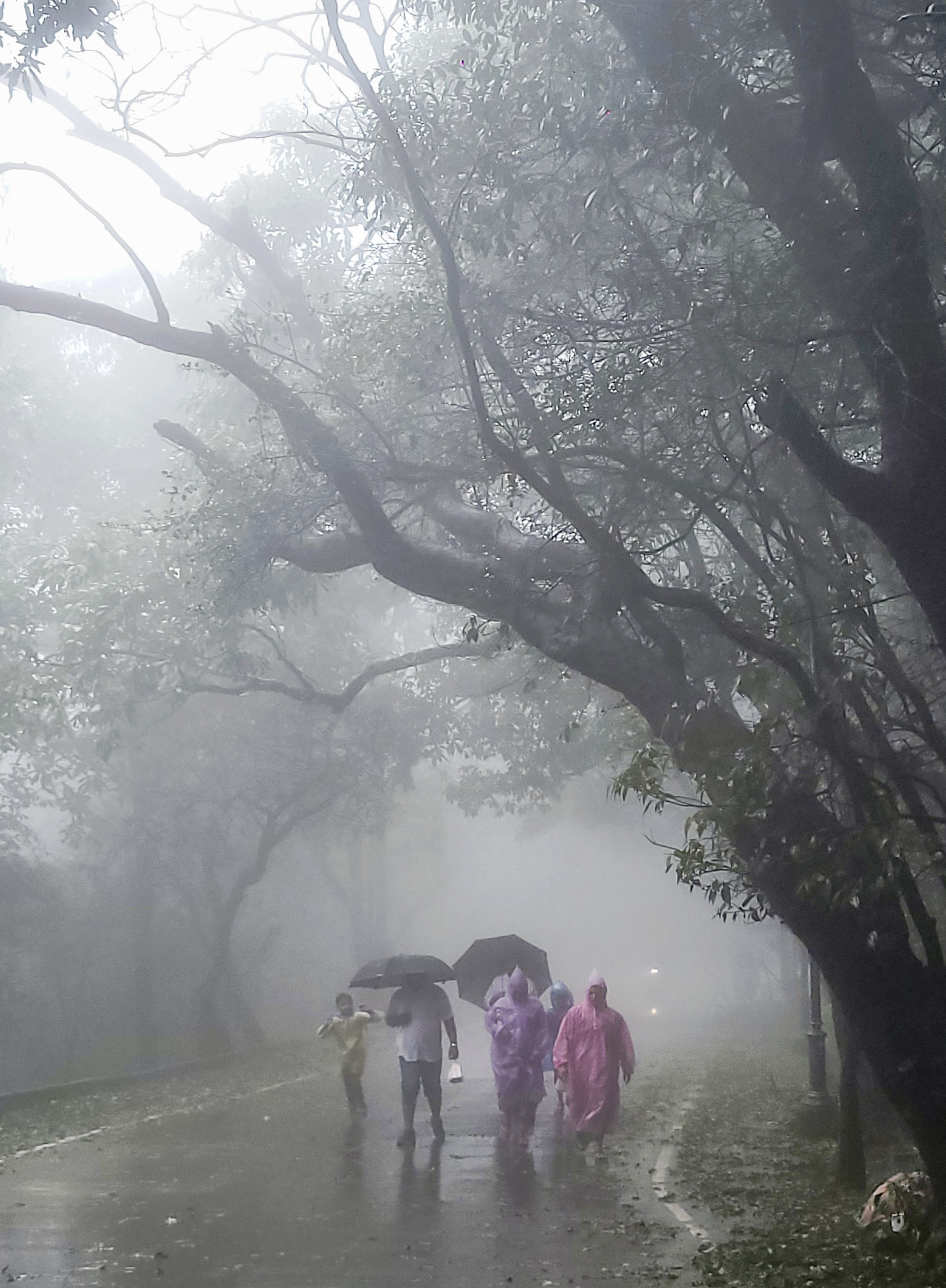 rainfall