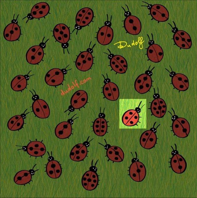 find-odd-one-out-picture-puzzle-answer