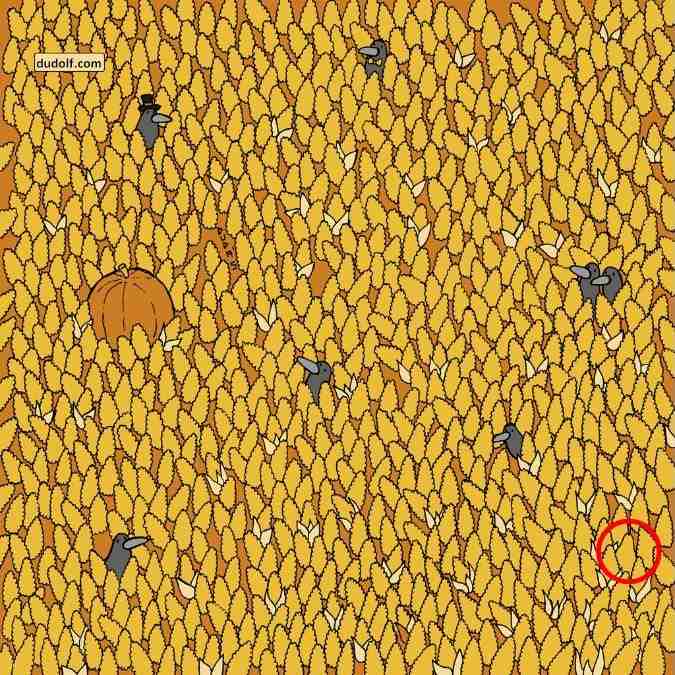 hidden objects picture puzzle with answer find-hidden-pear-picture-puzzle-answer