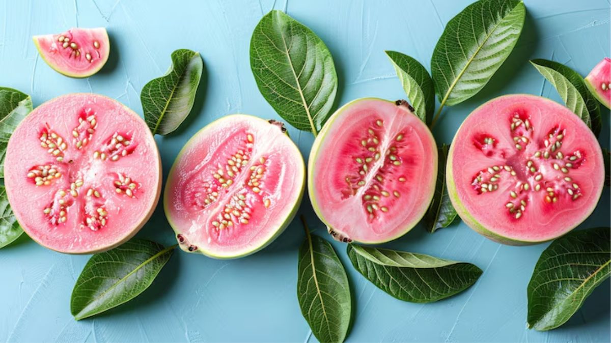 artical  - 2025-06-17T113025.892