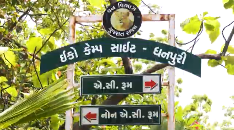 naidunia_image